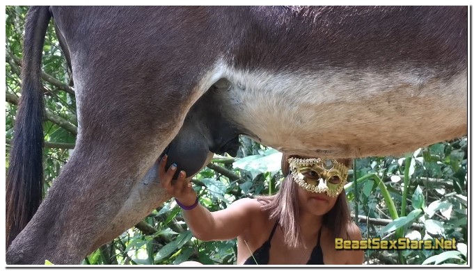 Amateur Donkey Sex Archives ⋆ BeastSexStars