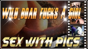 Wild Boar Fucks A Girl - Sex With Pigs