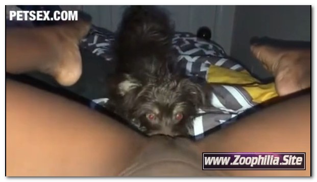 Amateur ZooSex - Part 1 Puppy Eats Me On My Period
