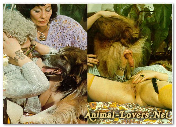 Bodil Joensen - Animal Sex Pornstars - Animal Climax Pics â‹†  BeastSexStars.Net
