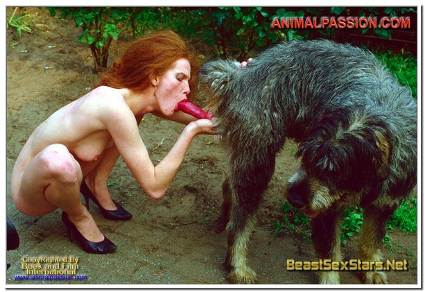 Netherlands Zoo Porn - Janine de Groot â€“ Porn Star And Animal Sex Model â€“ Biography Filmography â‹†  BeastSexStars.Net