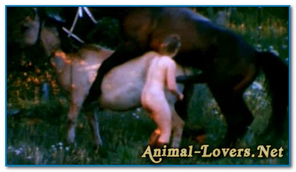 Porn animal farm Beastiality TV: