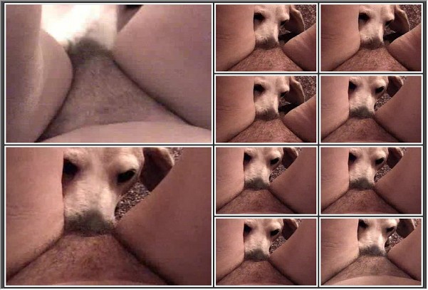 0080-dog_licking.jpg