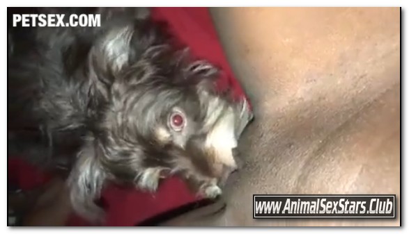 Amateur ZooSex - Puppy Enjoys Eating Virgin Pussy