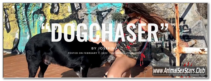 Josefina - Dogchaser
