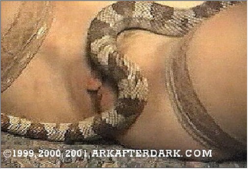 Arkafterdark Porn